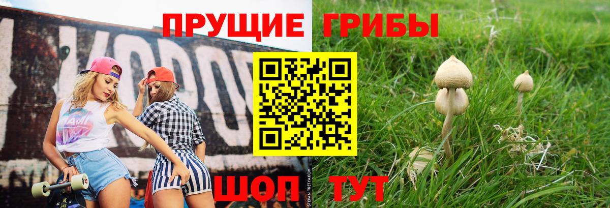 наркошоп  Галлюциногенные грибы Psilocybe  Вход с VPN  Галлюциногенные грибы Psilocybine cubensis  Сочи 